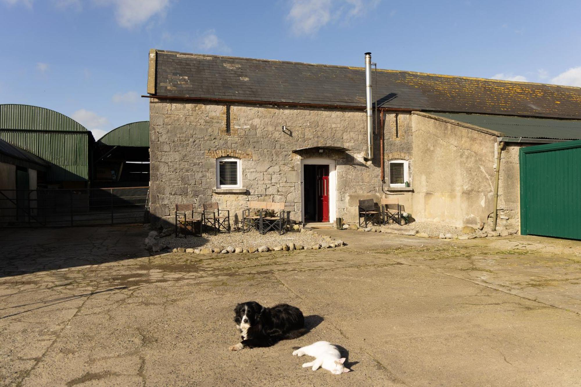 Fitz Of Inch Hotel Stradbally  Exterior photo
